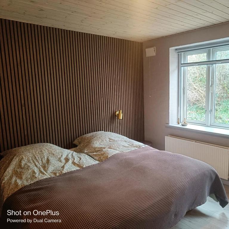 Postel nebo postele na pokoji v ubytování Agervig Bed & Breakfast