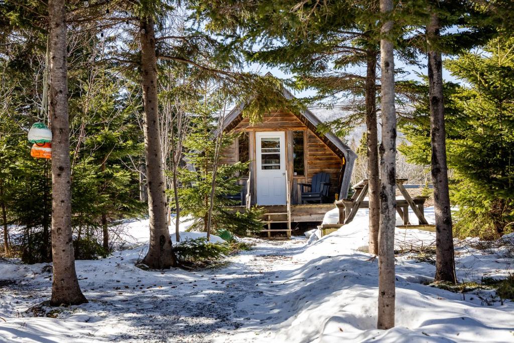 a cabin in the woods in the snow at The Zzzz Moose Camping Cabins in Birch Plain
