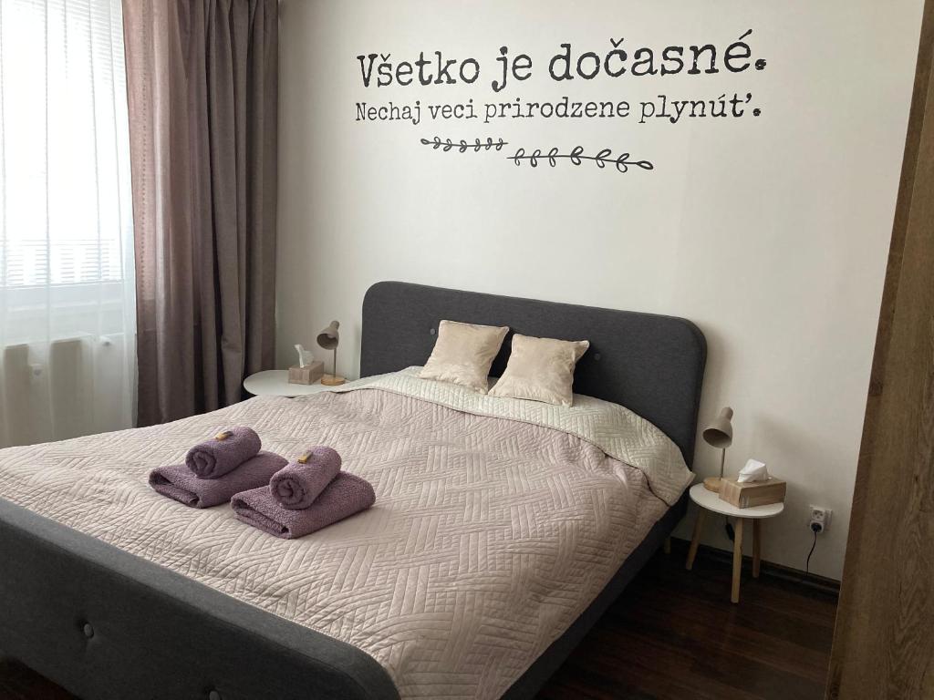 Postel nebo postele na pokoji v ubytování Apartmán Zemplín