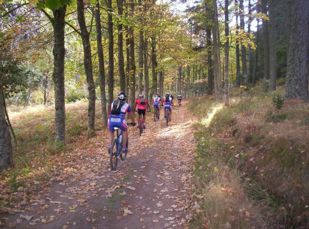 a group of people riding bikes down a trail at Residence Hotel Torresilvana in Vieste