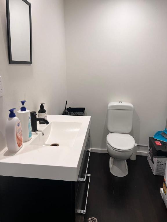 Auckland City Central 2bedroom big living room wifi public parking nearby - Resim 19