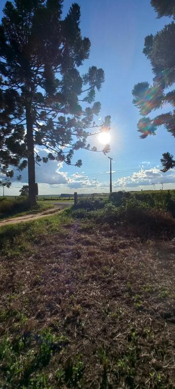 a field with a tree and the sun in the sky at Cabana Rio da Lage- Colônia Witmarsum in Palmeira