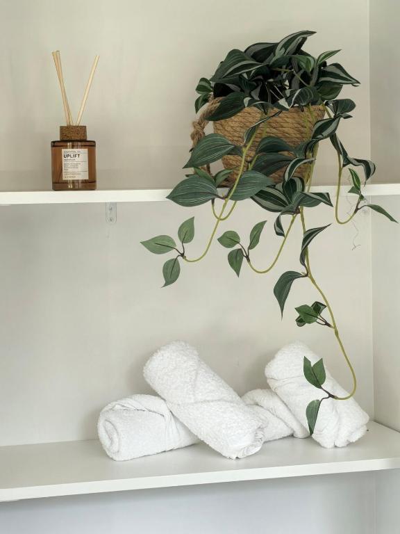 Rotorua Family Retreat Hamurana 10000sqm Lawn