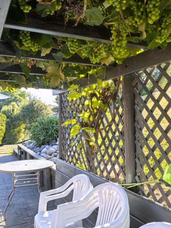 Rotorua Family Retreat Hamurana 10000sqm Lawn - Resim 29