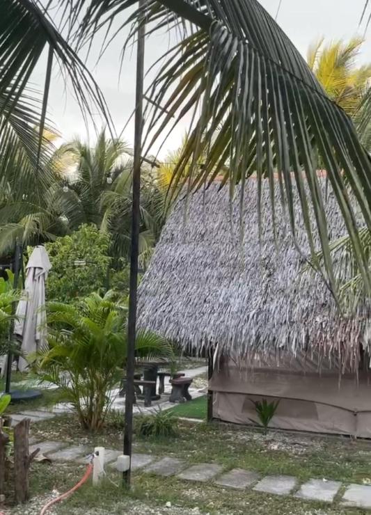 Zahrada ubytování TK Coconut Camping