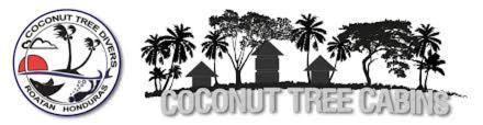 西区Coconut Tree West End的相册照片