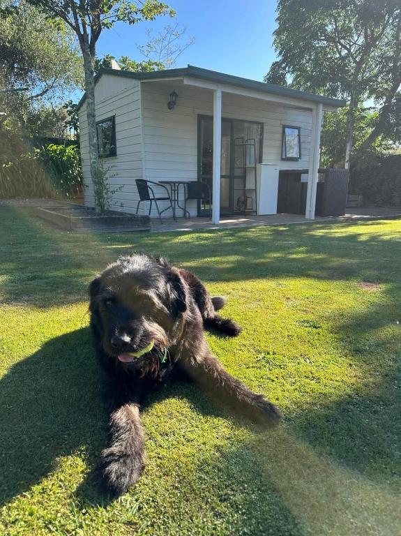 Guest house in Tahunanui - Resim 9