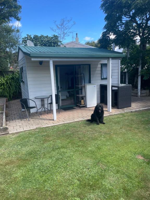 Guest house in Tahunanui - Resim 1