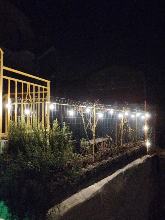 A garden outside B&B LA MARMOTTA