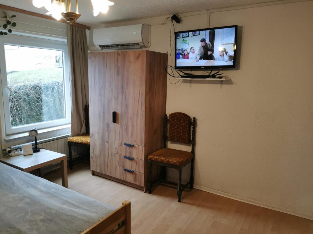 TV a/nebo společenská místnost v ubytování Na Kopitarjevi