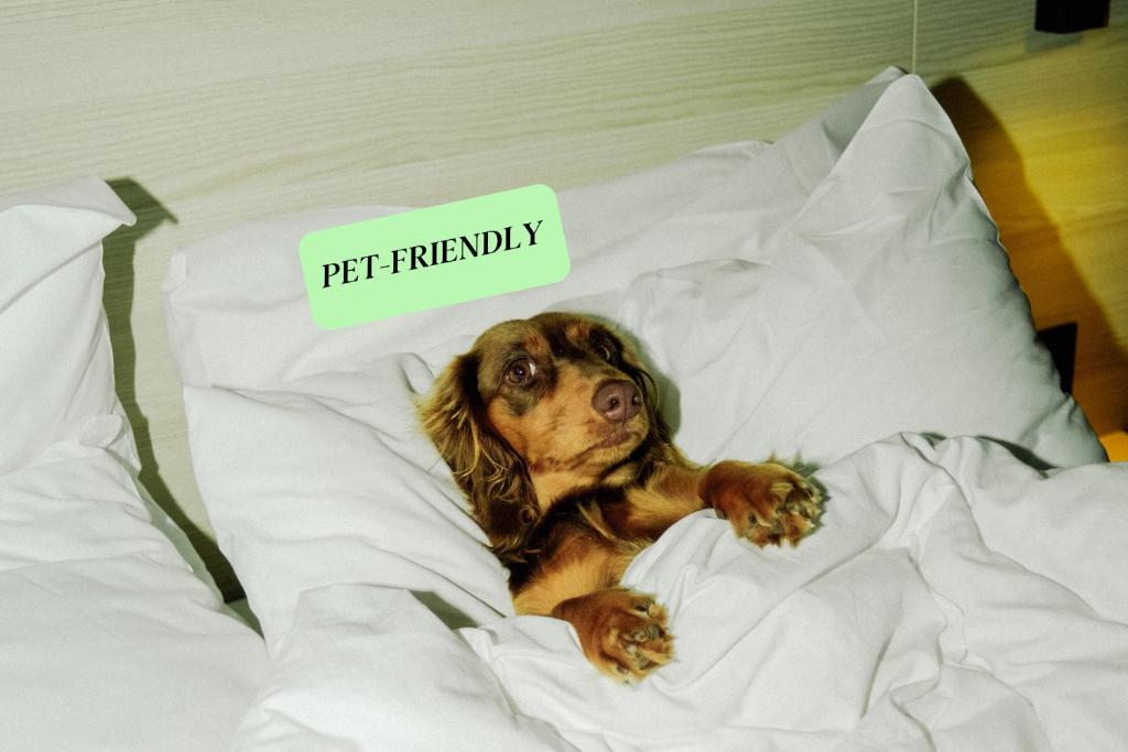 Citybox Antwerp - Resim 13