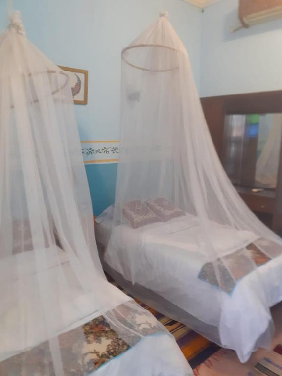 Villa Nile House Luxor - 12