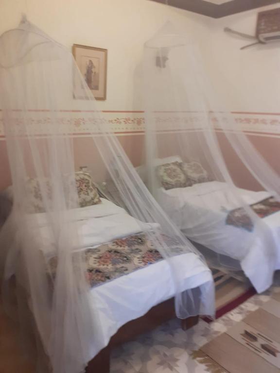 Villa Nile House Luxor - 15