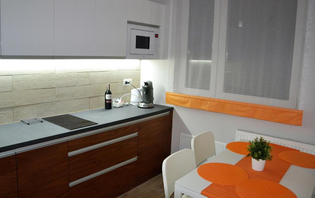 Kuchnia lub aneks kuchenny w obiekcie Apartamenty Krawiecka