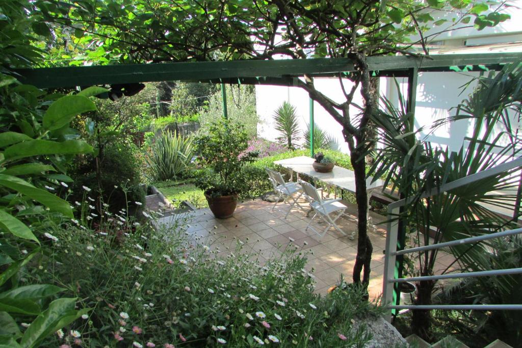 Vonkajšia záhrada v ubytovaní Sunny Garden