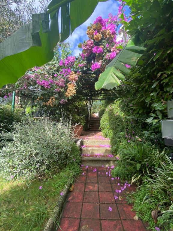 Vonkajšia záhrada v ubytovaní Sunny Garden