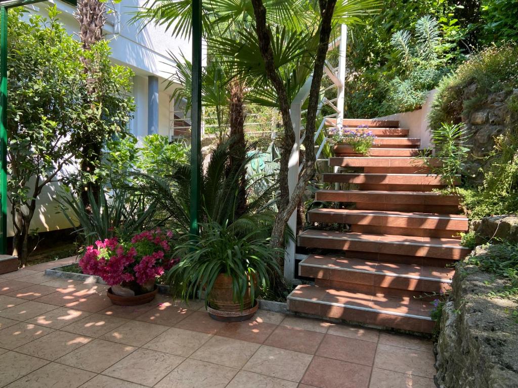 Vonkajšia záhrada v ubytovaní Sunny Garden