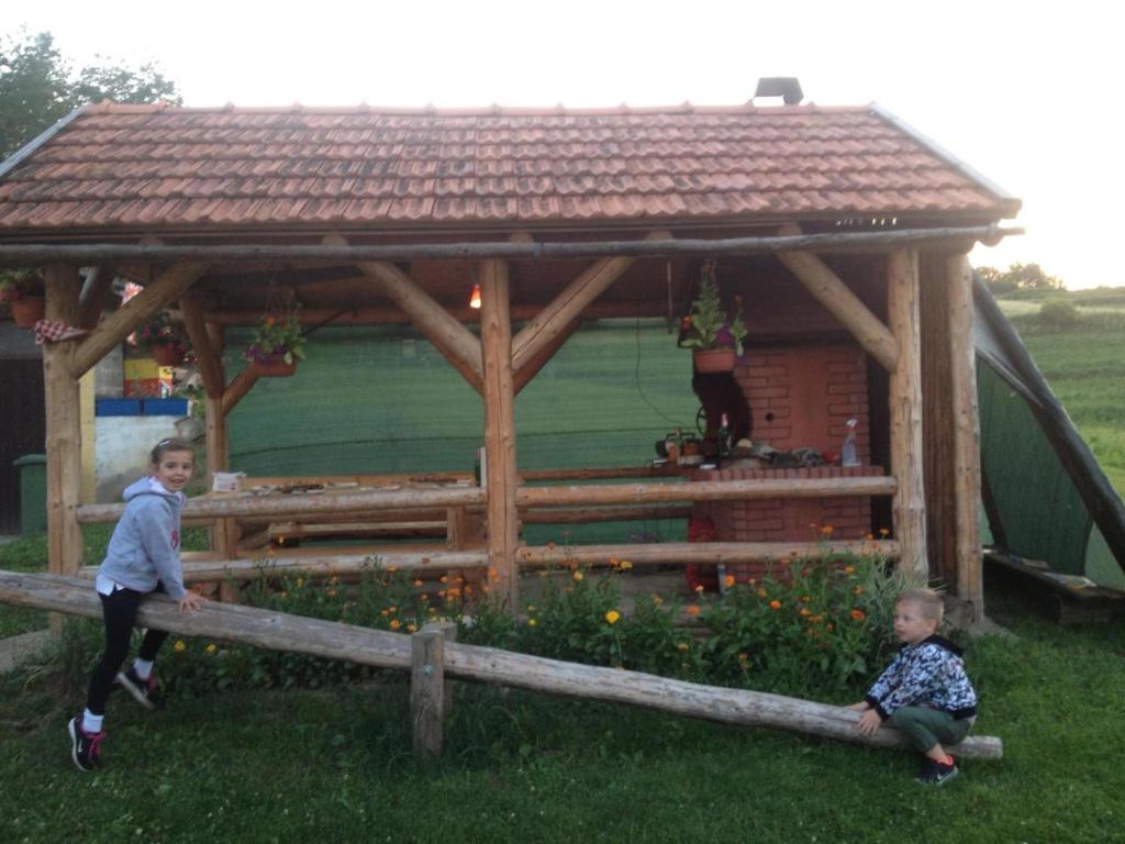 Hosté ubytování House Petra