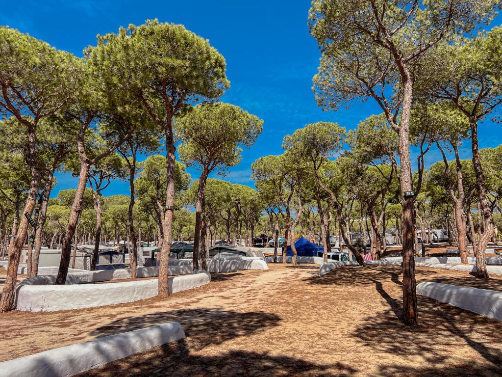 Fotografie z fotogalerie ubytování TAIGA Puerto Santa María v destinaci El Puerto de Santa María