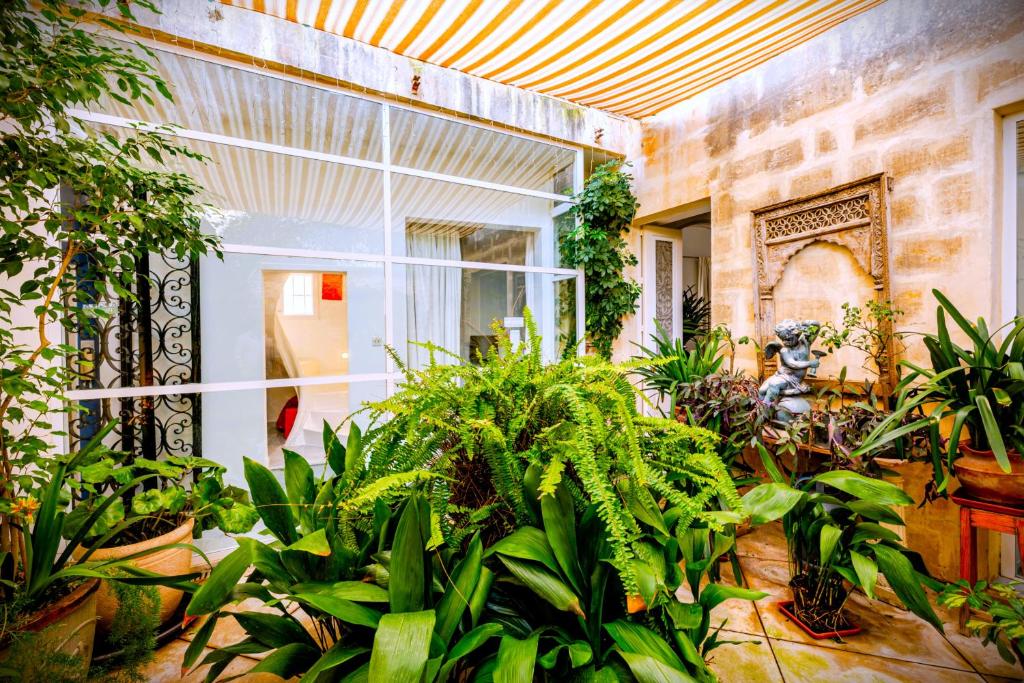 Zahrada ubytování Studio in Luxurious Maltese Townhouse
