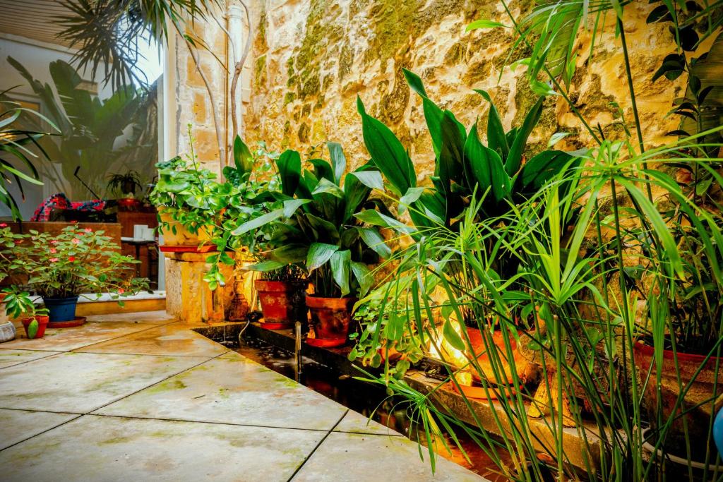 Zahrada ubytování Studio in Luxurious Maltese Townhouse