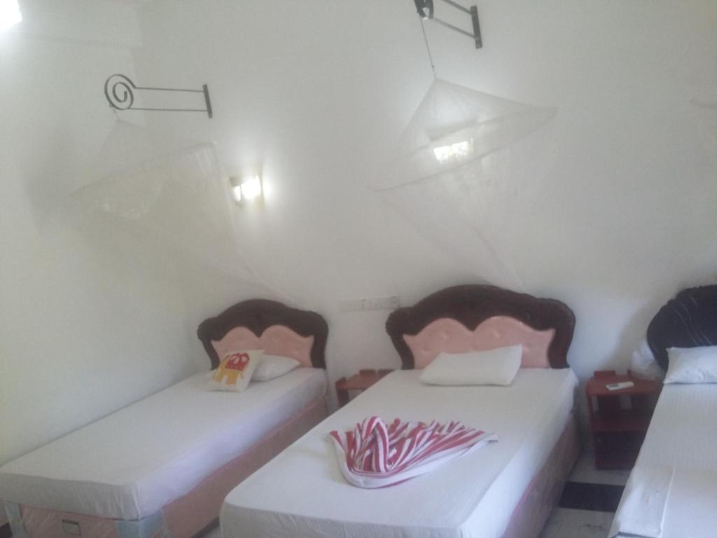 Peacock Reach Hotel - 2