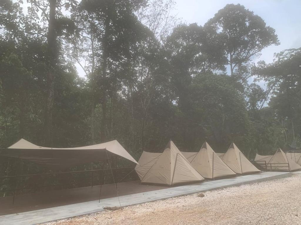 Fotografie z fotogalerie ubytování The HIJAU Camp & Cabin v destinaci Gopeng