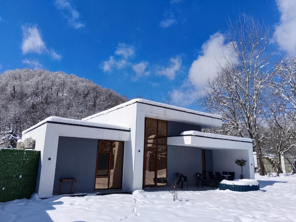 Harmony Hideaway 2 durante el invierno