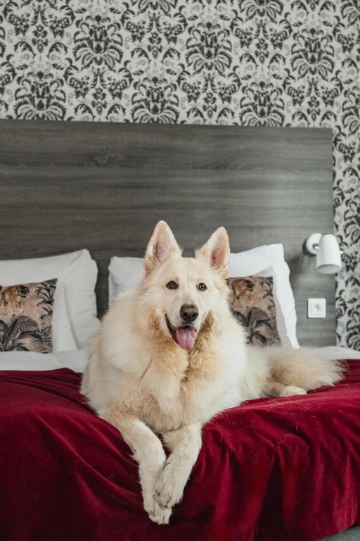 Domácí mazlíčci ubytovaní s hosty v ubytování Home Hotel Grand Helsingborg