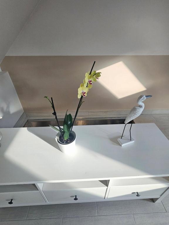 Foto dalla galleria di Salix Guesthouse by Mital a Szeged