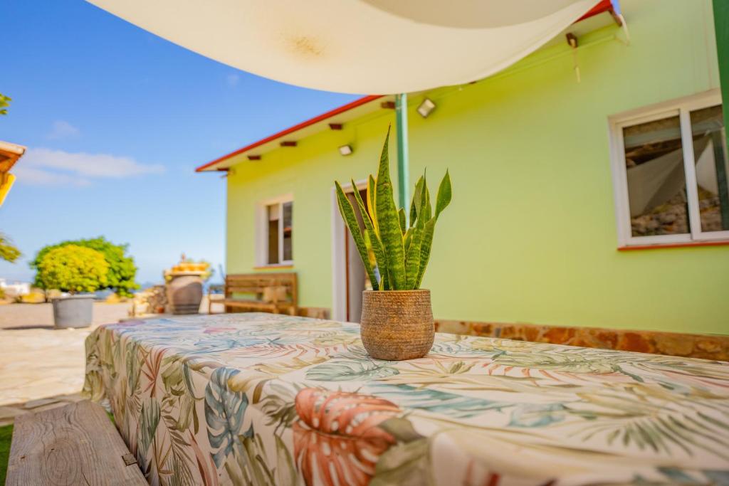 Fotografie z fotogalerie ubytování Casa Rural Buda Terra v destinaci Santa Cruz de Tenerife