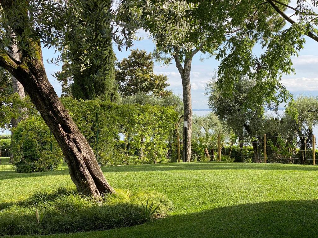 Natuurlandschap vlak bij het appartement