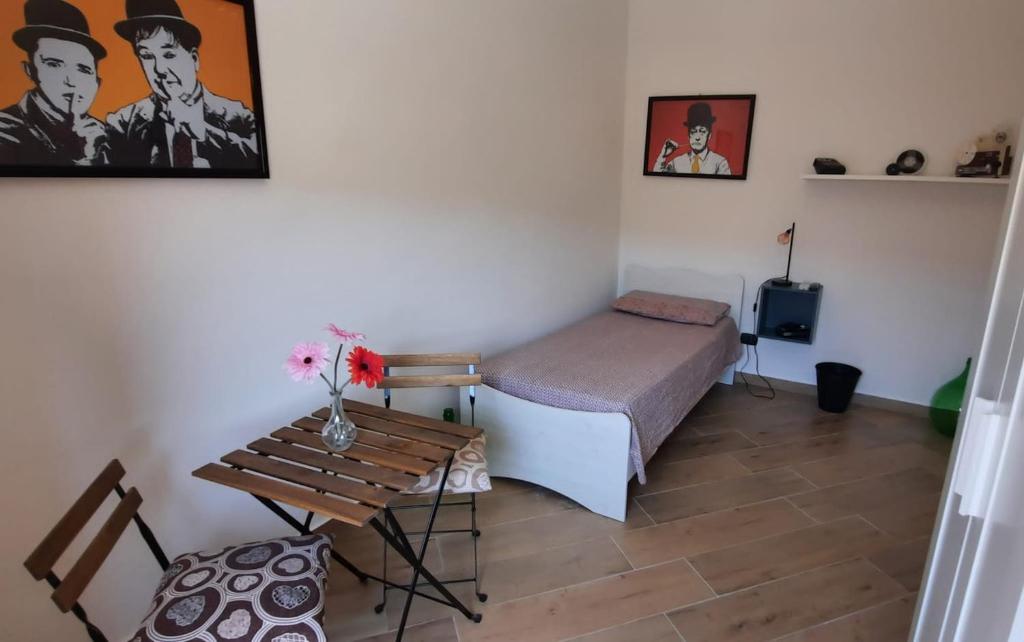 Casatua - 