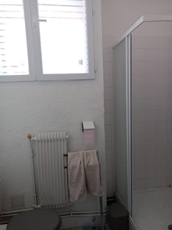 Koupelna v ubytování Hostel-Élisée-Perpignan