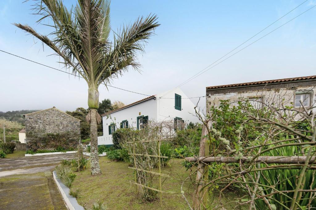 a palm tree in front of a white house at A Casa d'Amália in Ginetes