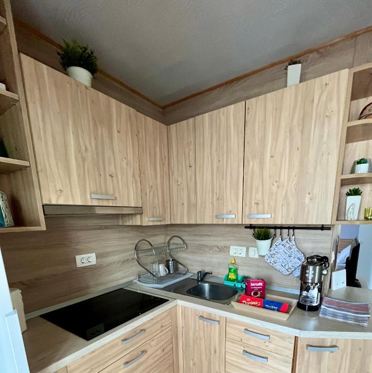 Kuchyň nebo kuchyňský kout v ubytování MARIS MOBILE HOME
