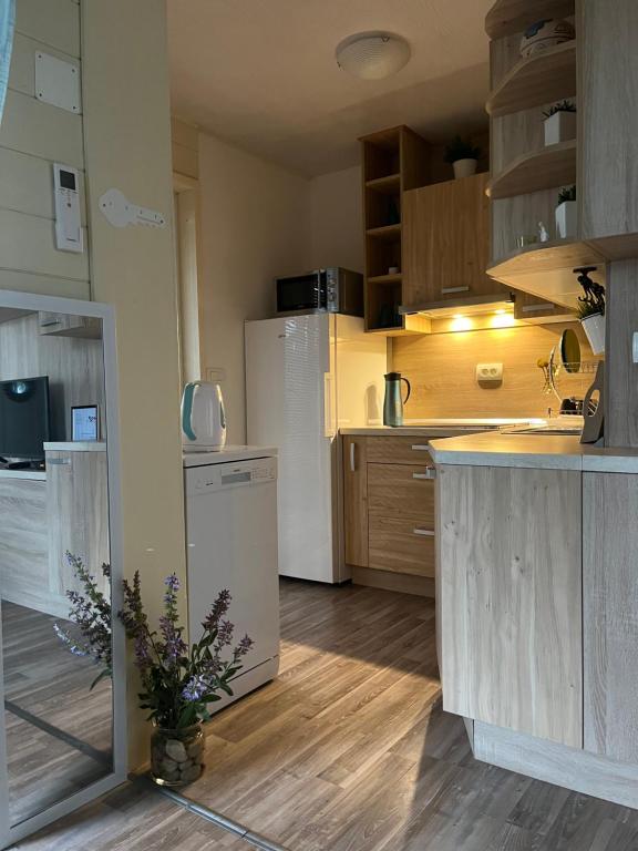 Kuchyň nebo kuchyňský kout v ubytování MARIS MOBILE HOME