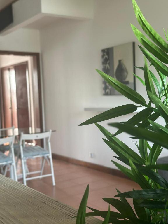 a plant in a room with a table and chairs at AZORES PEDRA APARTMENTS - T0 e T1 in Ponta Delgada