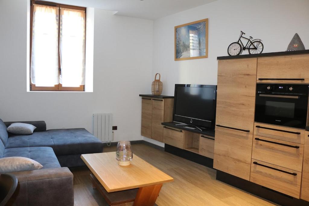 un salon avec un canapé et une télévision à écran plat dans l'établissement apartment center Sélestat Le Melimi, à Sélestat