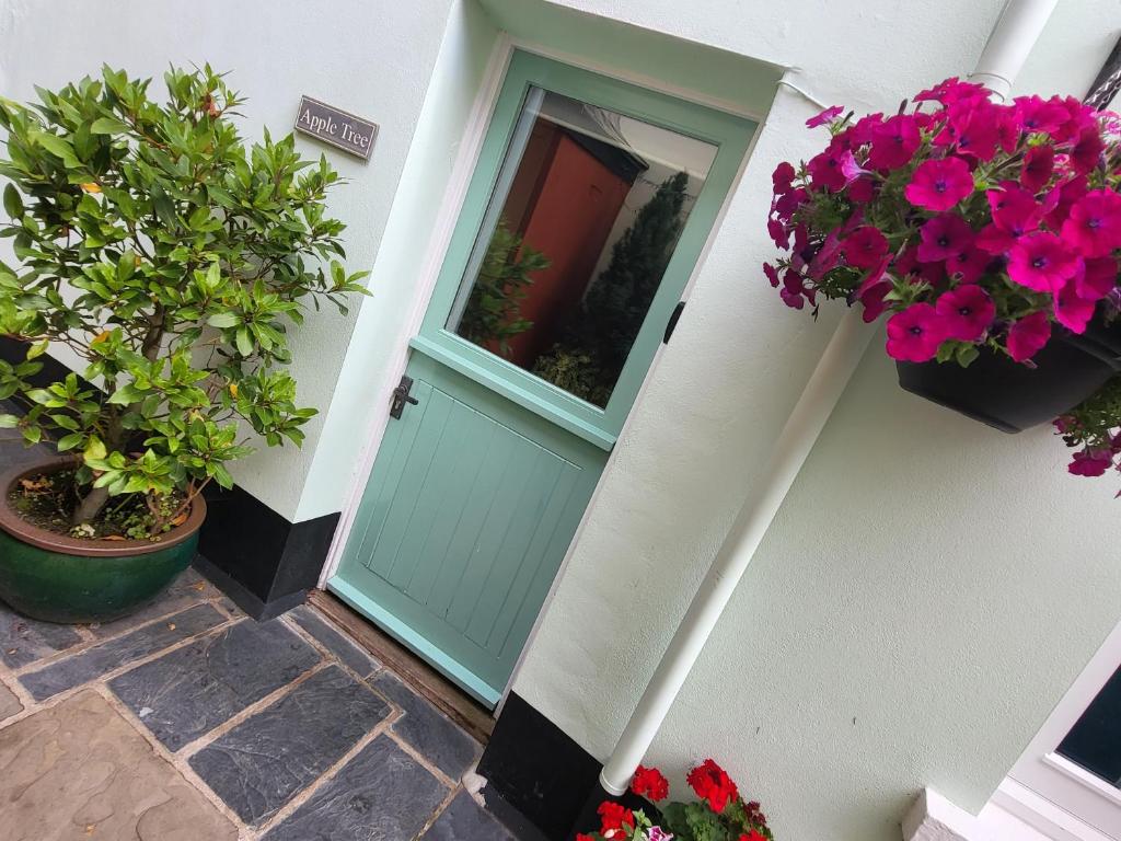 a green door with flowers and potted plants at Apple Tree Cottage in Bideford