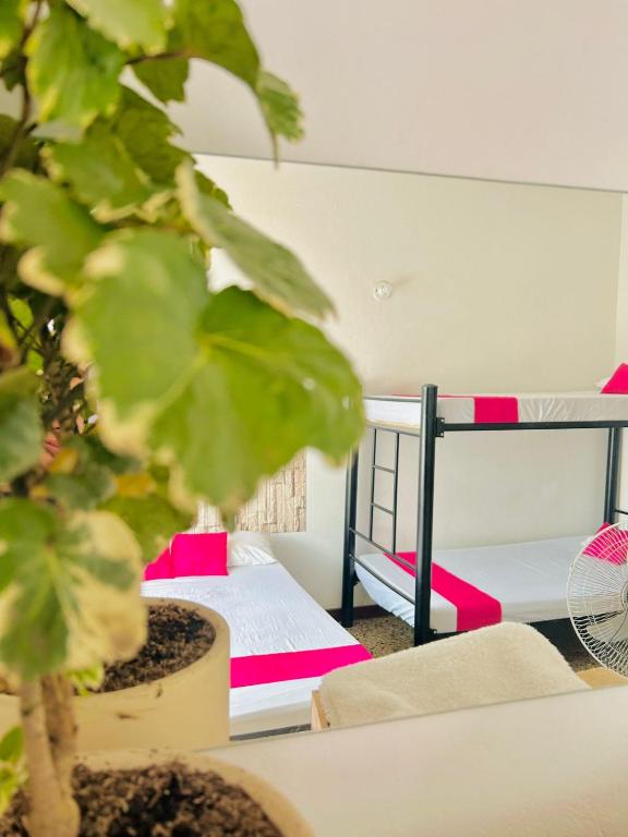 Postel nebo postele na pokoji v ubytování CasaGitanos Hotel