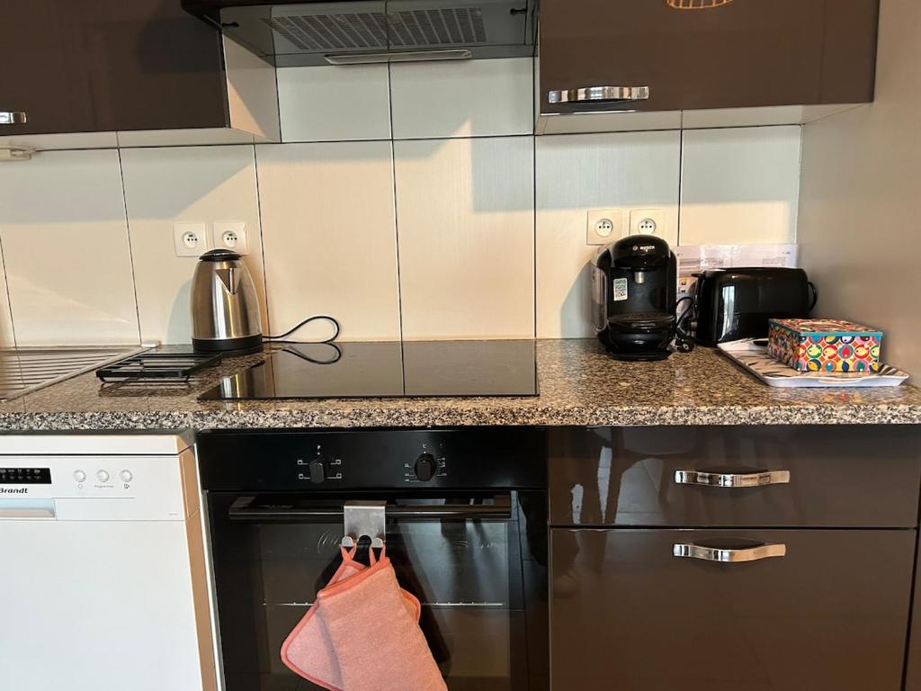 Η κουζίνα ή μικρή κουζίνα στο Appartement cosy idéalement situé