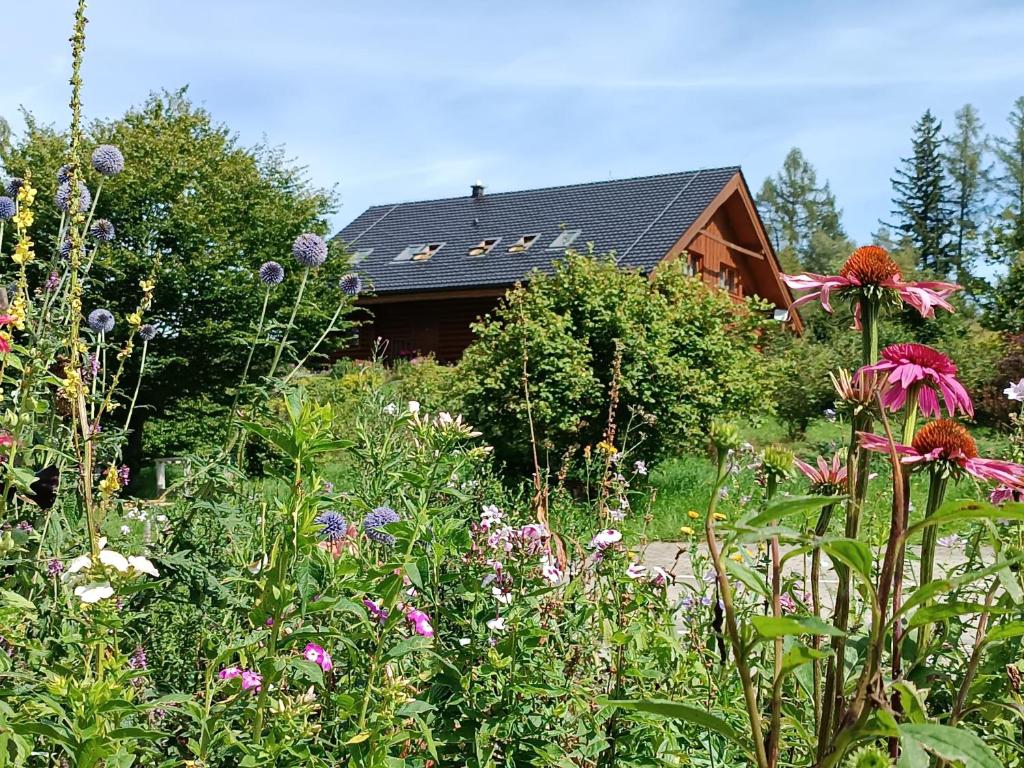 Zahrada ubytování Srub Javorná - apartmány Šumava