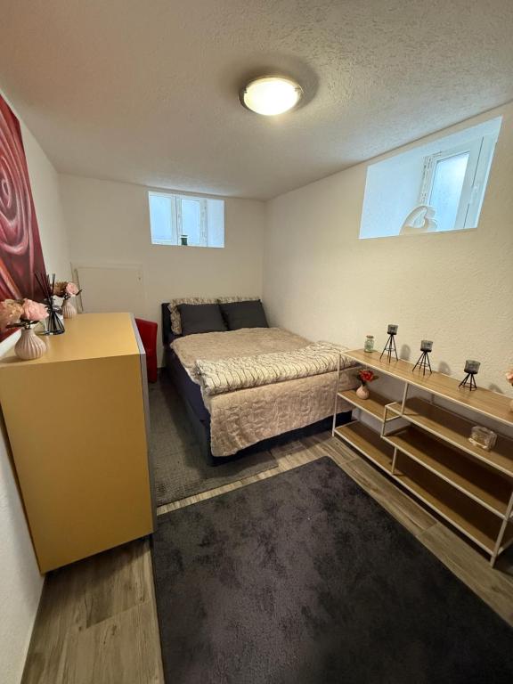 une chambre avec un lit et un lavabo dans l'établissement Larkon, à Huningue