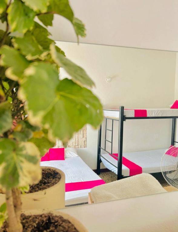 Postel nebo postele na pokoji v ubytování CasaGitanos Hotel