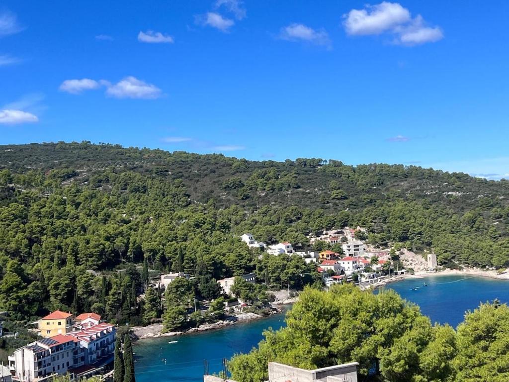 Příroda nedaleko apartmánu