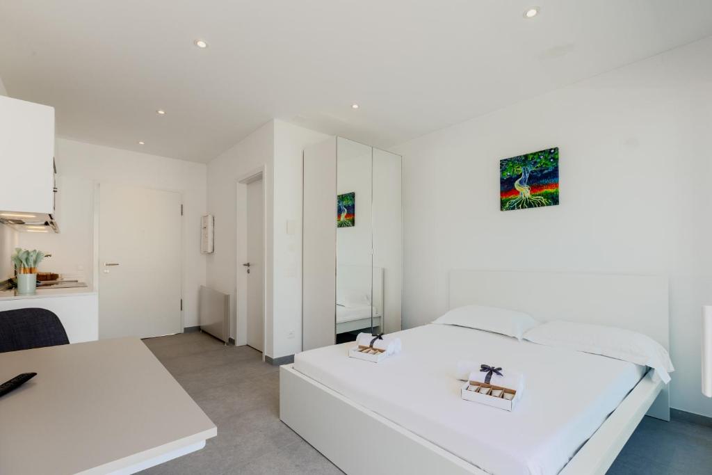 Campus Lugano 45 wonderful Smart Suites in the university area - Resim 29