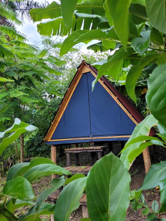 ein blaues überdachtes Haus inmitten von Bäumen in der Unterkunft Nosso Quintal Candeias - Cabana Flamboyant in Conceição do Mato Dentro