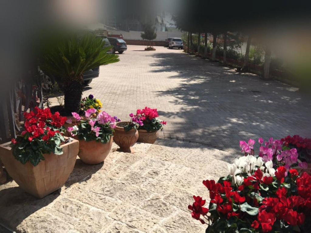 Dinasty Hotel - Image 6