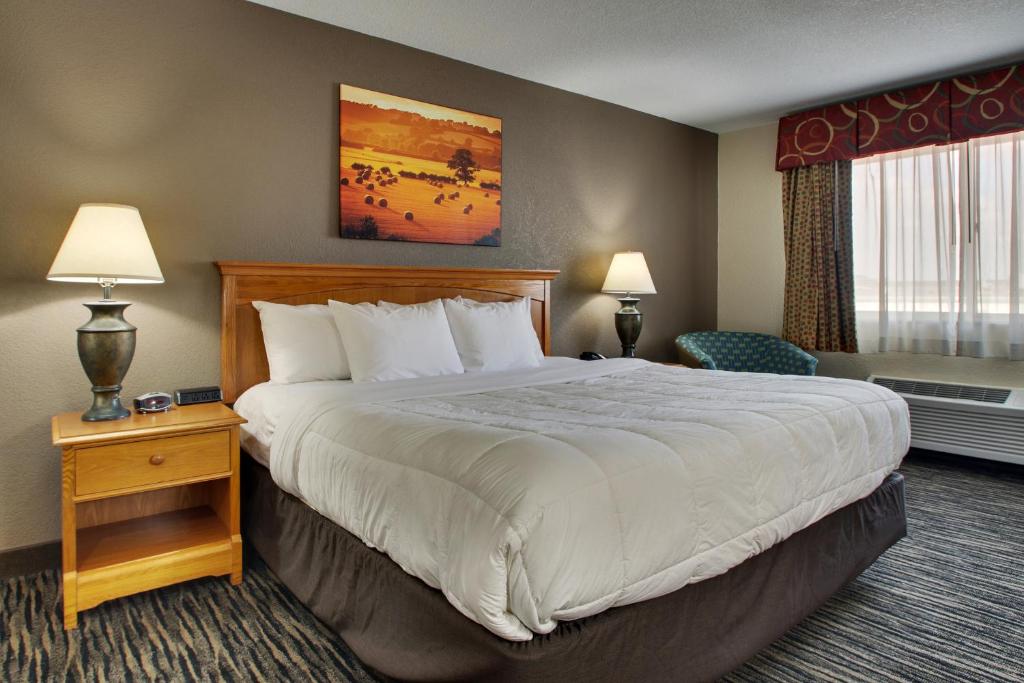 EverSpring Inn & Suites - King Room